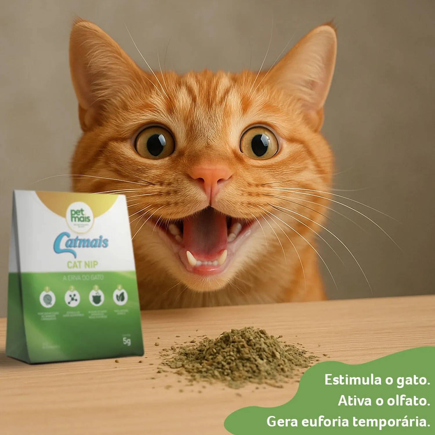 Catnip Premium Erva do Gato Petmais
